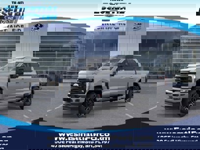 New 2025 Ford F250 Platinum