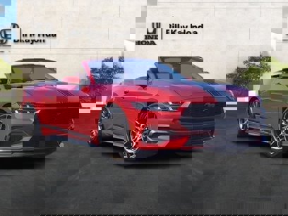 Used 2024 Ford Mustang Premium
