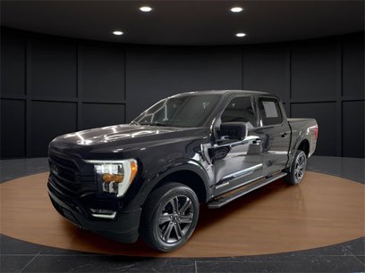 Used 2023 Ford F150 XLT w/ Equipment Group 302A High