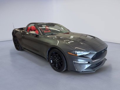 Used 2019 Ford Mustang Premium w/ Equipment Group 201A