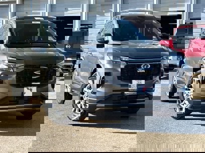Used 2024 Ford Escape Active