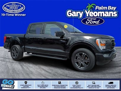 Certified 2023 Ford F150 XLT w/ Equipment Group 302A High