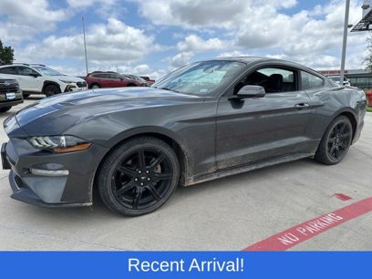 Used 2019 Ford Mustang Coupe w/ Equipment Group 101A