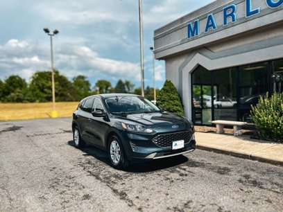 Used 2022 Ford Escape SE w/ Convenience Package