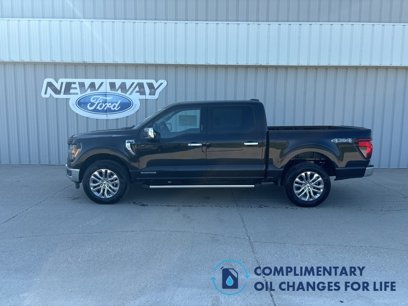 New 2024 Ford F150 XLT w/ Equipment Group 302A MID