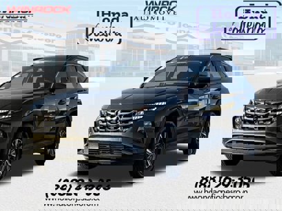 Used 2024 Hyundai Tucson Blue