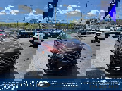 Certified 2019 Ford Fusion SEL