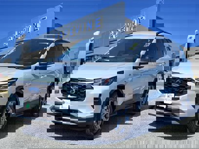 New 2025 Ford Escape ST-Line