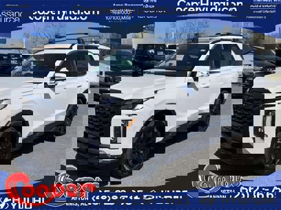New 2025 Hyundai Palisade XRT