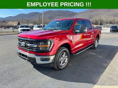 New 2025 Ford F150 XLT w/ Equipment Group 301A Standard