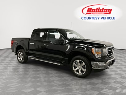 New 2023 Ford F150 XLT w/ Equipment Group 302A High