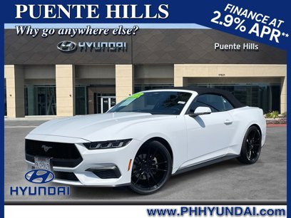 Used 2024 Ford Mustang Premium