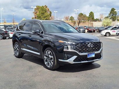 New 2023 Hyundai Santa Fe Calligraphy