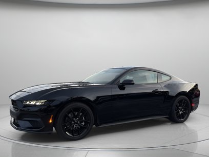 New 2025 Ford Mustang Premium w/ Mustang Nite Pony Package