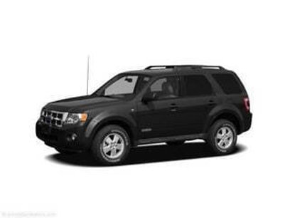 Used 2010 Ford Escape XLT