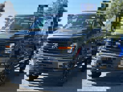 New 2025 Ford F150 XLT w/ Equipment Group 302A MID