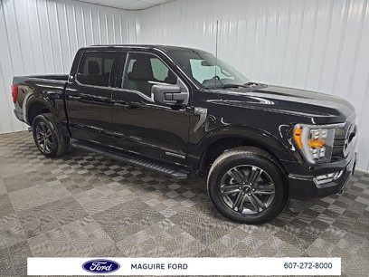 Used 2023 Ford F150 XLT w/ Equipment Group 302A High