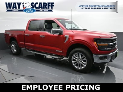 New 2024 Ford F150 XLT w/ Equipment Group 303A High