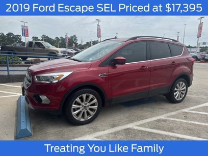 Used 2019 Ford Escape SEL