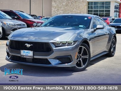 Used 2024 Ford Mustang Coupe