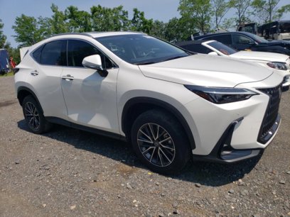 Used 2025 Lexus NX 350h AWD w/ Premium Package