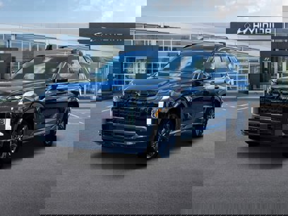 New 2025 Hyundai Palisade XRT