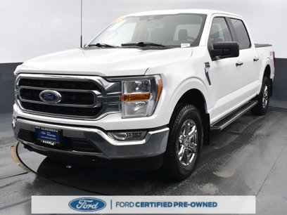 Certified 2023 Ford F150 XLT