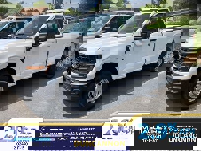 New 2024 Ford F150 XL