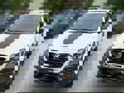 New 2025 Subaru Outback Wilderness