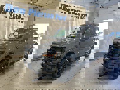 New 2025 Ford F150 XLT