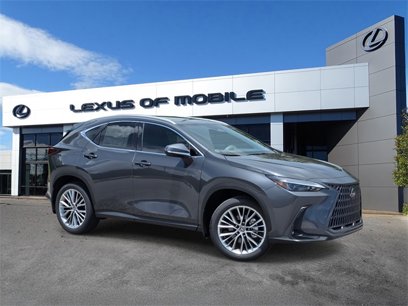 New 2025 Lexus NX 350 AWD w/ Premium Package