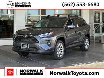 New 2025 Toyota RAV4 XLE Premium