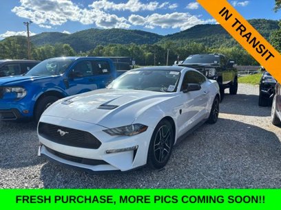 Used 2022 Ford Mustang Coupe w/ Equipment Group 101A