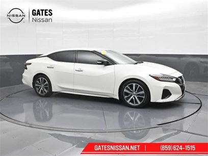 Used 2019 Nissan Maxima 3.5 SV