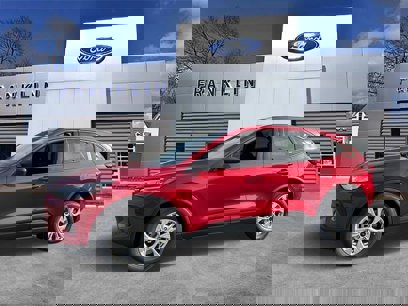 New 2025 Ford Escape Active w/ Tech Pack #1