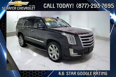 Used 2019 Cadillac Escalade Premium Luxury