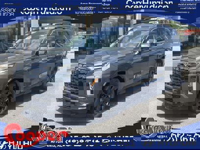 New 2025 Hyundai Palisade XRT