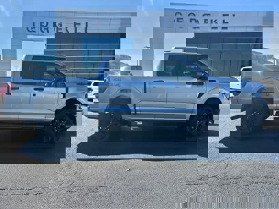 New 2024 Ford F150 STX w/ STX Black Appearance Package