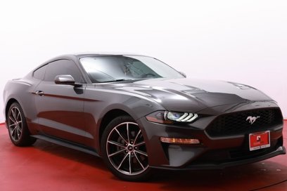 Used 2019 Ford Mustang Coupe w/ Equipment Group 101A