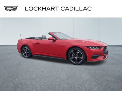 Used 2024 Ford Mustang Premium