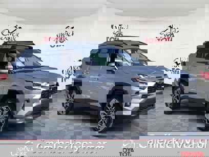 New 2025 Toyota RAV4 XLE Premium