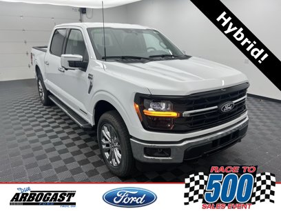 New 2024 Ford F150 XLT w/ Equipment Group 302A MID