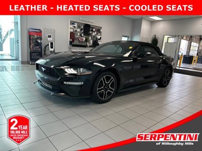 Used 2019 Ford Mustang Premium