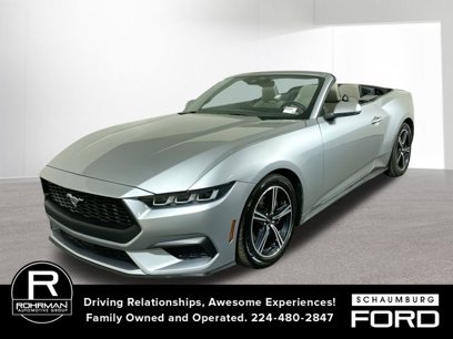 Used 2024 Ford Mustang Premium