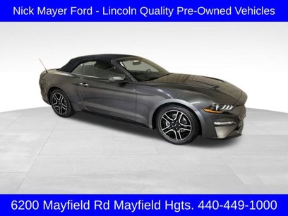 Used 2019 Ford Mustang Premium