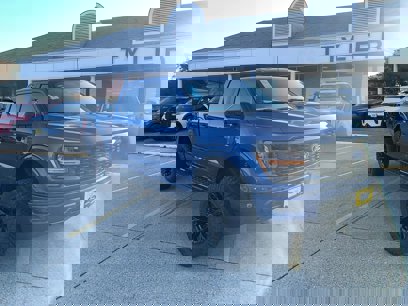 New 2024 Ford F150 STX