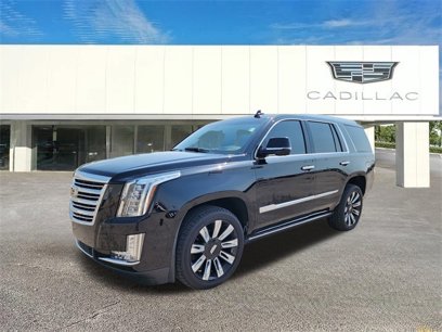 Used 2019 Cadillac Escalade Platinum