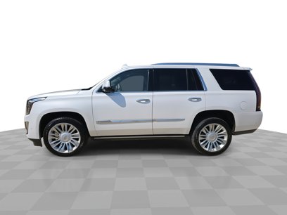 Certified 2019 Cadillac Escalade Platinum