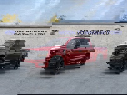 New 2024 Ford F150 STX w/ STX Black Appearance Package