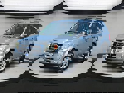 Used 2010 Ford Escape XLT